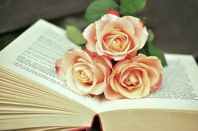 Creative Book Art