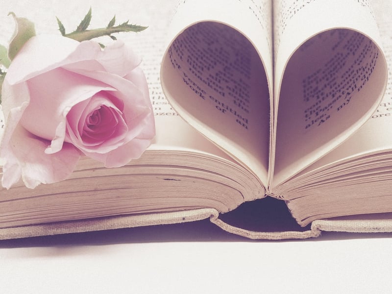 Vintage Book Planter